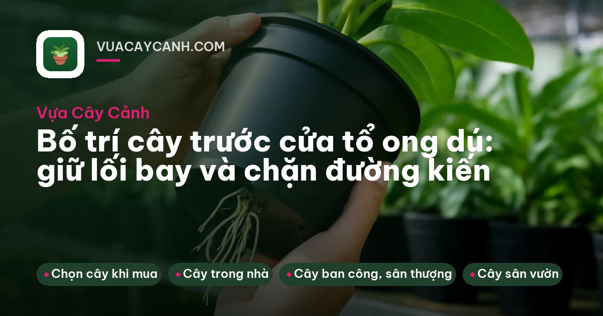 Cửa tổ ống sáp trên thùng ong dú, phía trước là khoảng thoáng và cây bụi thấp