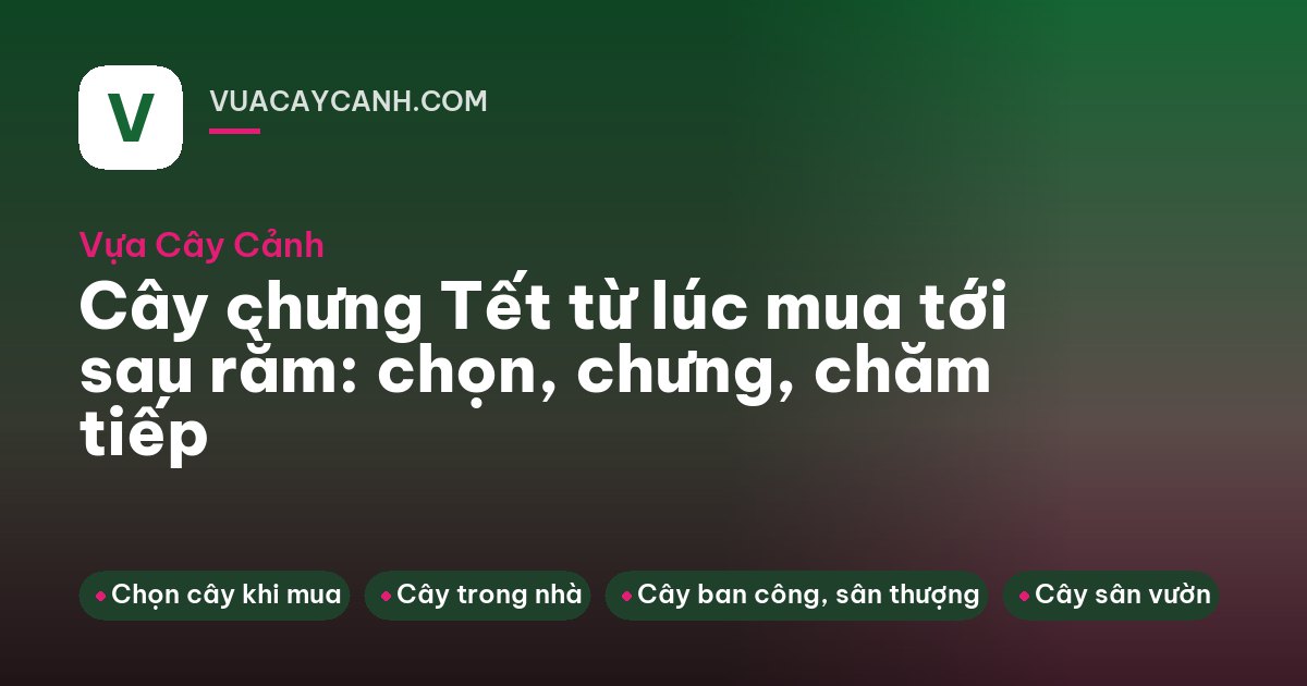 Chợ hoa Tết ngoài trời, xe đẩy chở chậu cúc vàng nhìn từ trên cao