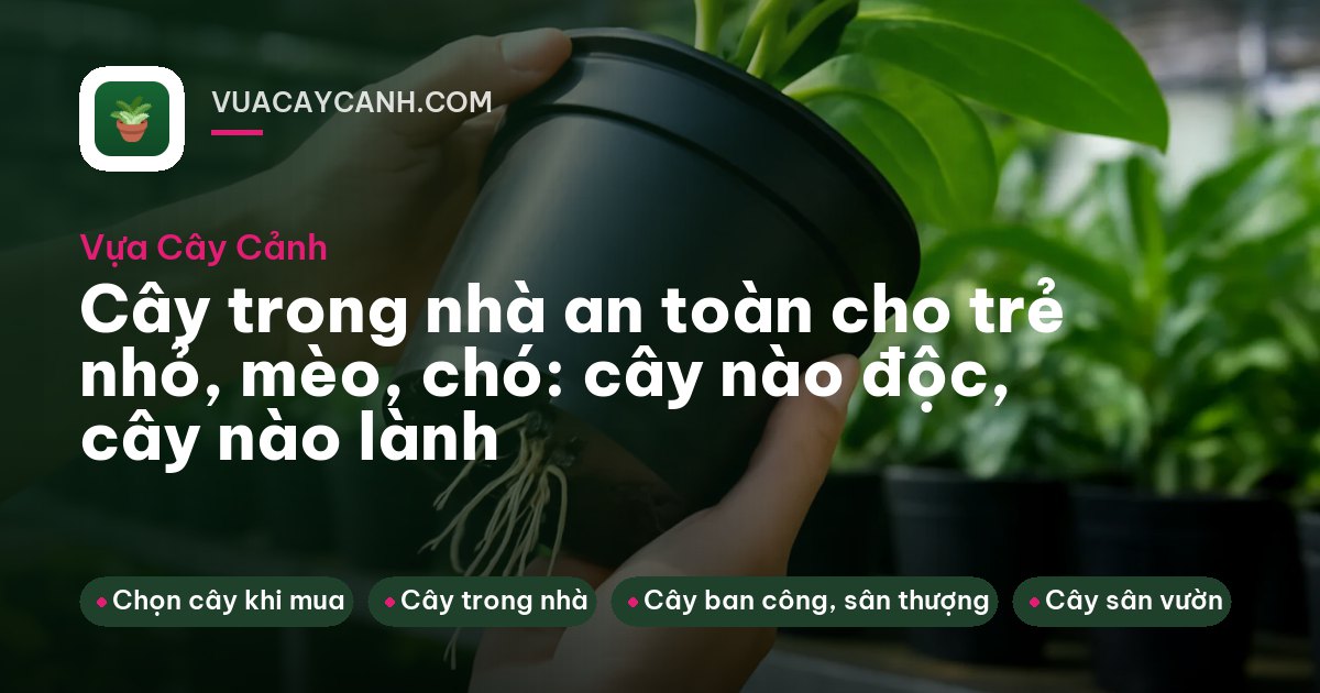 Con mèo nằm trên sàn gỗ cạnh chậu cau tiểu trâm trong phòng khách