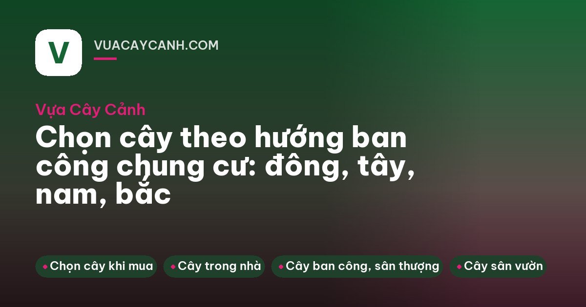 Ban công chung cư hướng đông buổi sáng với nhiều tầng chậu cây xanh và hoa