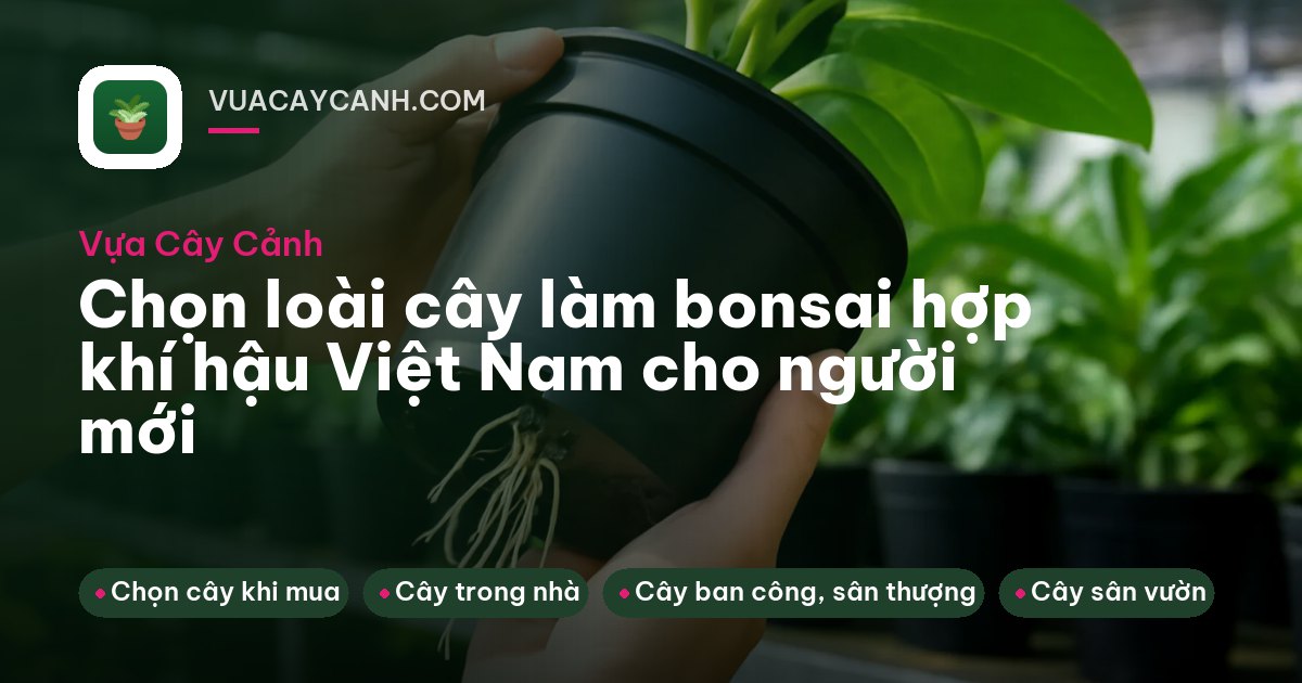 Người mua đi giữa hai dãy bàn dài bày nhiều loài cây thế non ở vựa