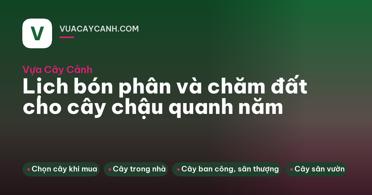 Góc ban công nhiều chậu cây, người tưới cây từ phía sau lưng buổi sáng