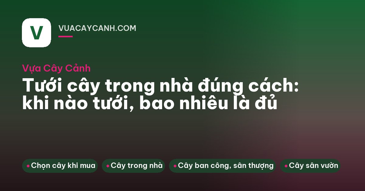 Tay cầm bình tưới vòi dài rót nước sát gốc chậu sứ trắng