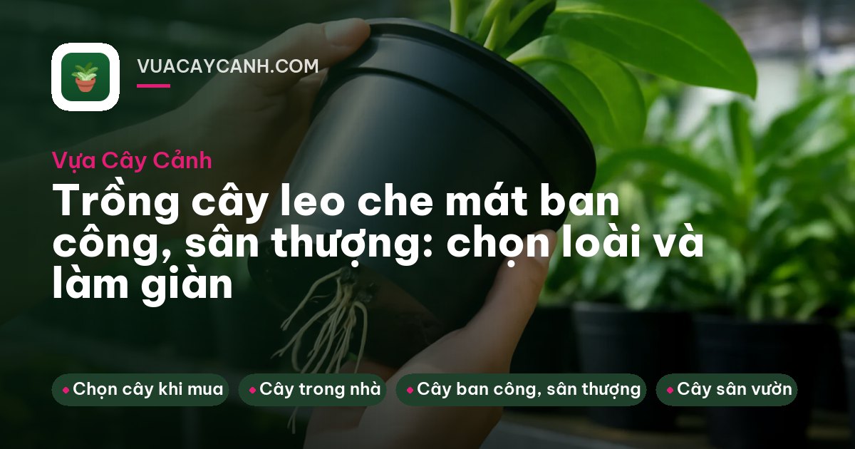 Giàn hoa cát đằng tím phủ khung sắt trên sân thượng nhà phố